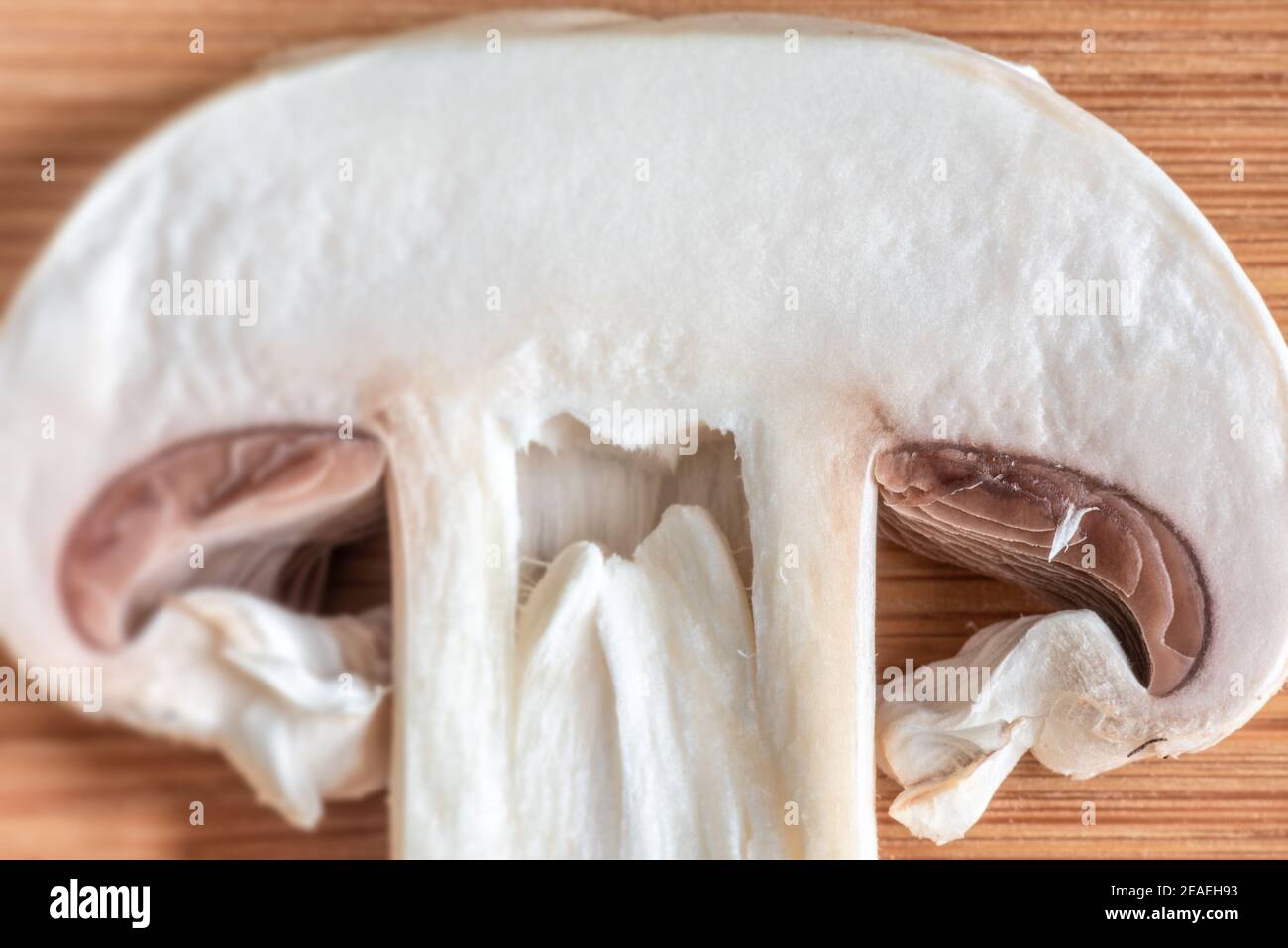 Macro di un fungo bianco crudo Foto Stock