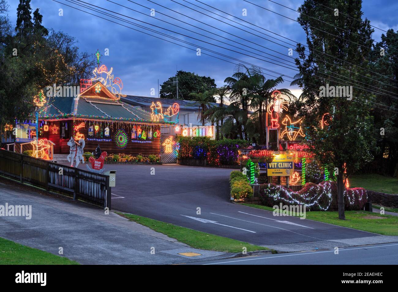 Una clinica di veterinario illuminato con luci di Natale a tema animale. Tauranga, Nuova Zelanda Foto Stock