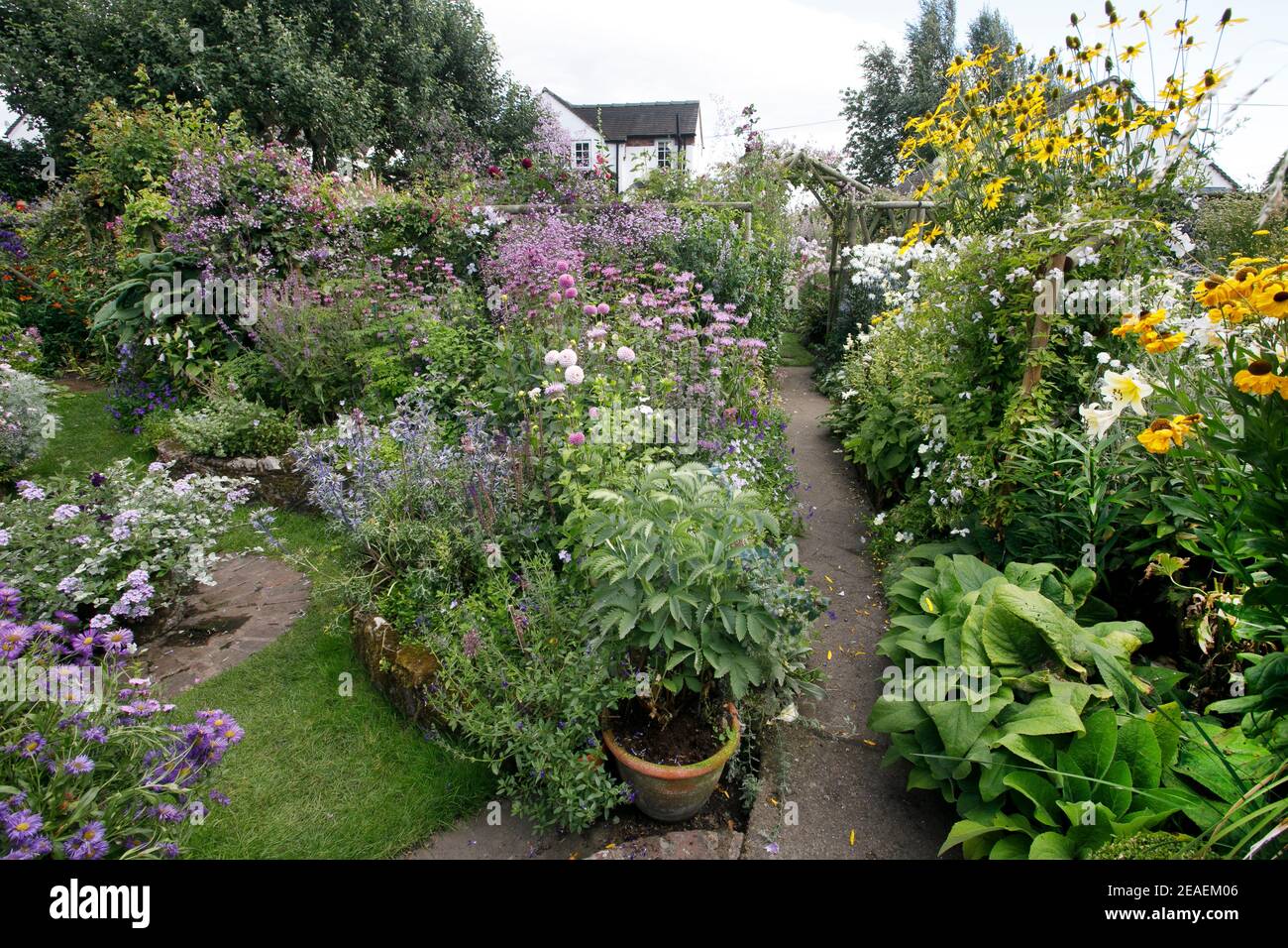 Profusione di fiori estivi a Grafton Cottage, Barton-under-Needwood, Staffordshire, NGS, luglio Foto Stock