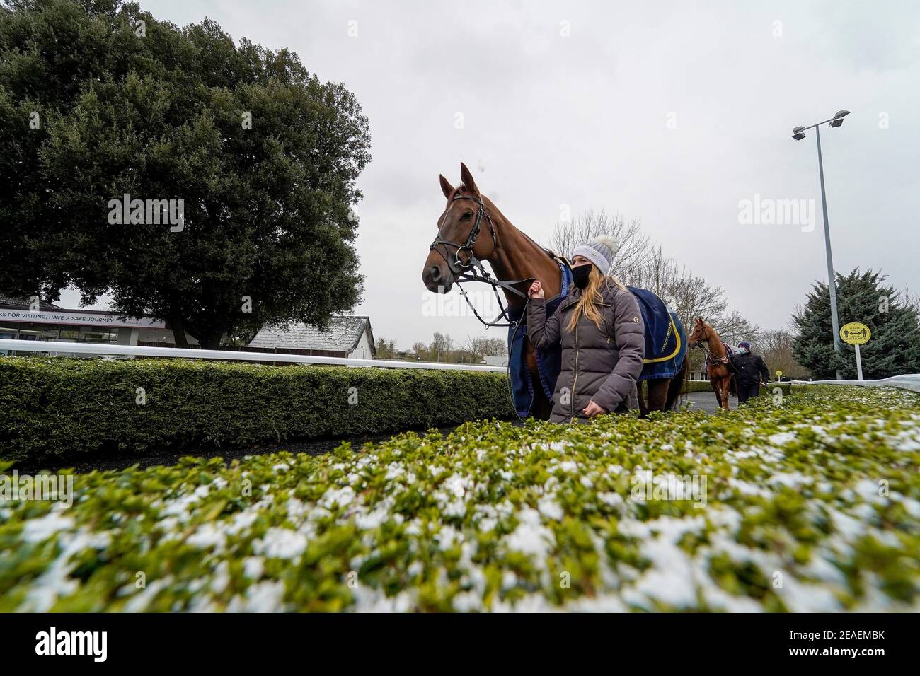 Una visione generale come corridore si fa strada verso l'anello della parata all'ippodromo di Kempton. Data immagine: Martedì 9 febbraio 2021. Foto Stock