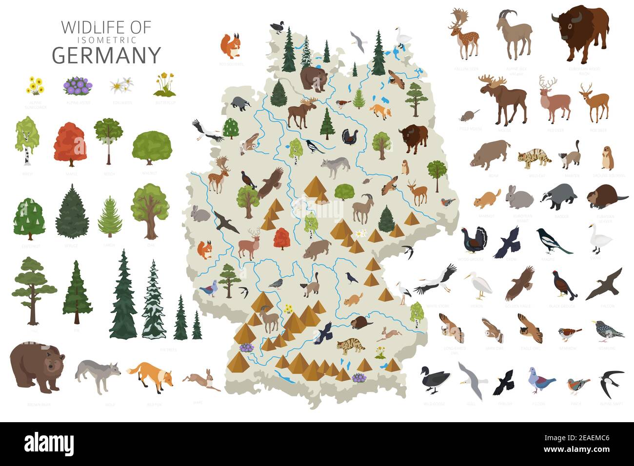 Progettazione 3D isometrica della fauna selvatica tedesca. Elementi costruttivi di animali, uccelli e piante isolati su set bianco. Costruisci le tue infografiche geografiche c Illustrazione Vettoriale