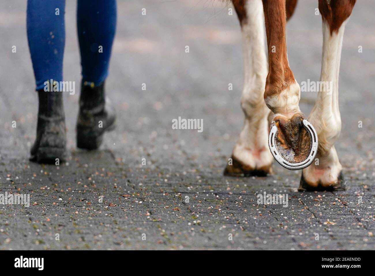 Sposo e cavallo fianco a fianco all'ippodromo di Kempton. Data immagine: Martedì 9 febbraio 2021. Foto Stock