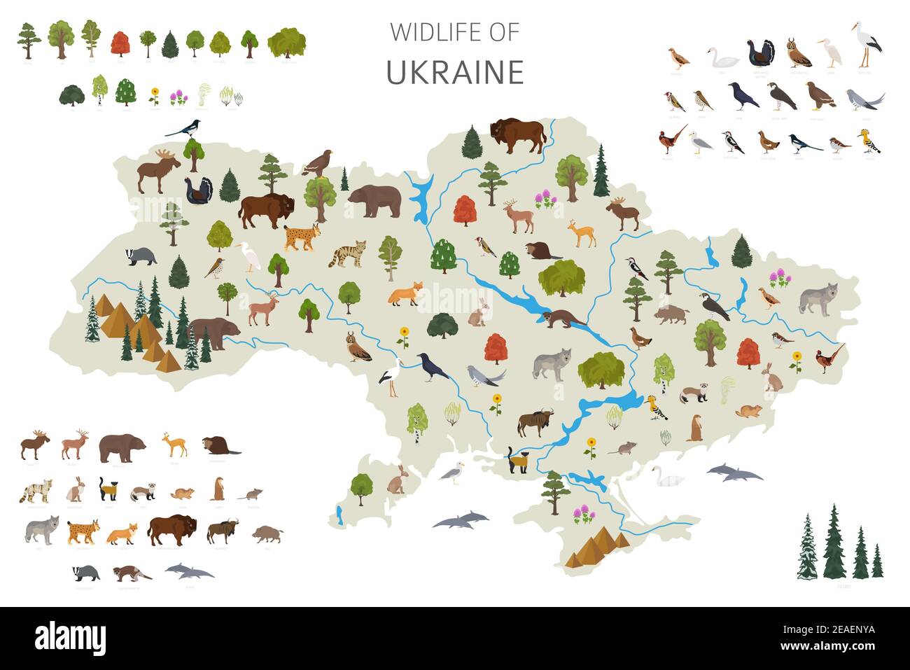 Design piatto della fauna selvatica ucraina. Elementi costruttivi di animali, uccelli e piante isolati su set bianco. Crea la tua collectio di infografiche geografiche Illustrazione Vettoriale