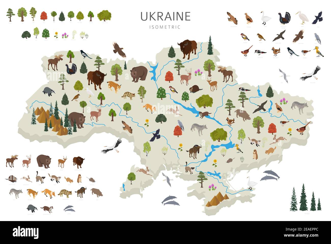 Progettazione 3D isometrica della fauna selvatica ucraina. Elementi costruttivi di animali, uccelli e piante isolati su set bianco. Costruisci le tue infografiche geografiche c Illustrazione Vettoriale