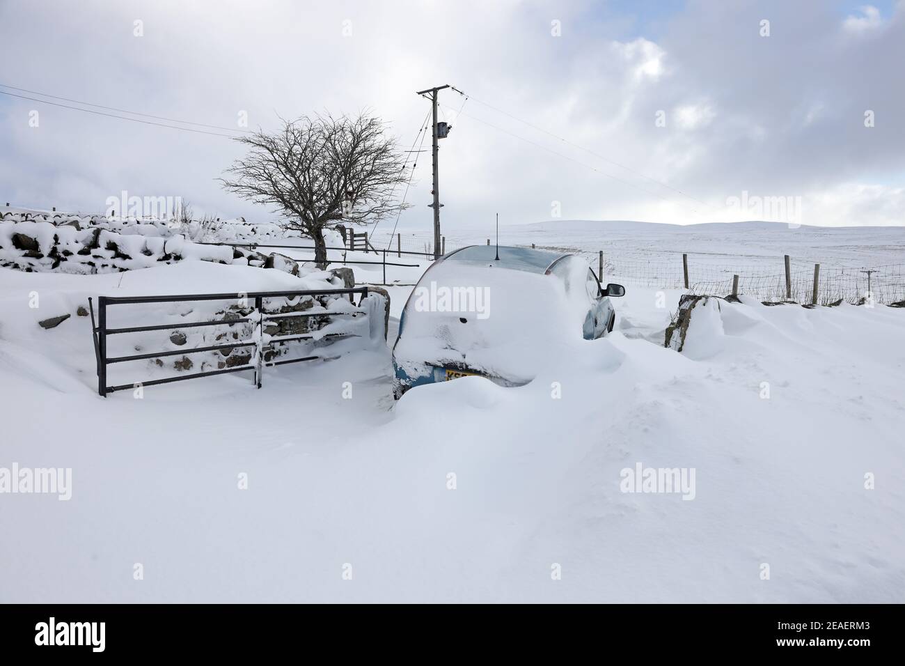 Harwood, Teesdale, County Durham, Regno Unito. 9 febbraio 2021. Regno Unito Meteo. La neve pesante, i forti venti e le derive continuano a colpire Upper Teesdale mentre la bestia dell'Est II afferra l'Inghilterra settentrionale. Credit: David Forster/Alamy Live News Foto Stock