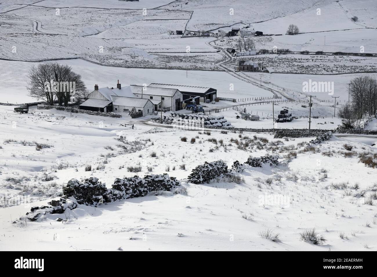 Harwood, Teesdale, County Durham, Regno Unito. 9 febbraio 2021. Regno Unito Meteo. La neve pesante, i forti venti e le derive continuano a colpire Upper Teesdale mentre la bestia dell'Est II afferra l'Inghilterra settentrionale. Credit: David Forster/Alamy Live News Foto Stock