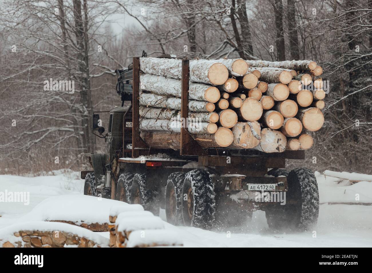 disboscamento illegale, raccolta di legno per l'industria manifatturiera, trasporto caricato con tronchi di alberi in legno, trasporto di legno in inverno Foto Stock