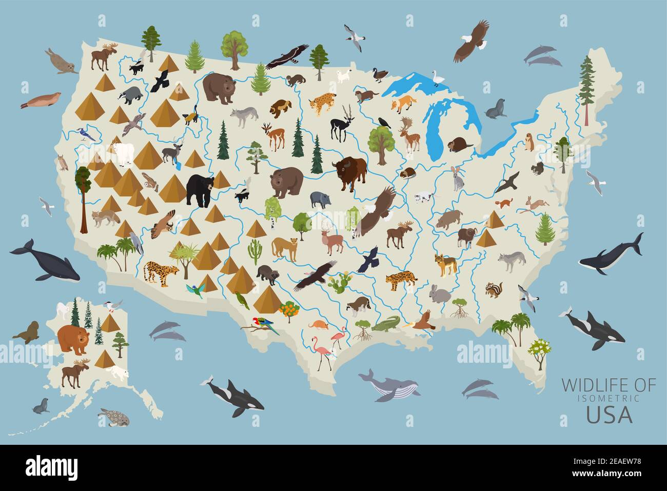 3d isometrico della fauna selvatica degli Stati Uniti. Elementi costruttivi di animali, uccelli e piante isolati su set bianco. Crea la tua raccolta di infografiche geografiche. Illustrazione Vettoriale