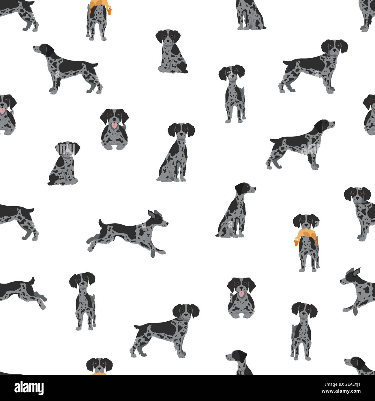 Brittany spaneil modello senza giunture. Set di pose diverse. Infografica su cani adulti e cuccioli. Illustrazione vettoriale Illustrazione Vettoriale