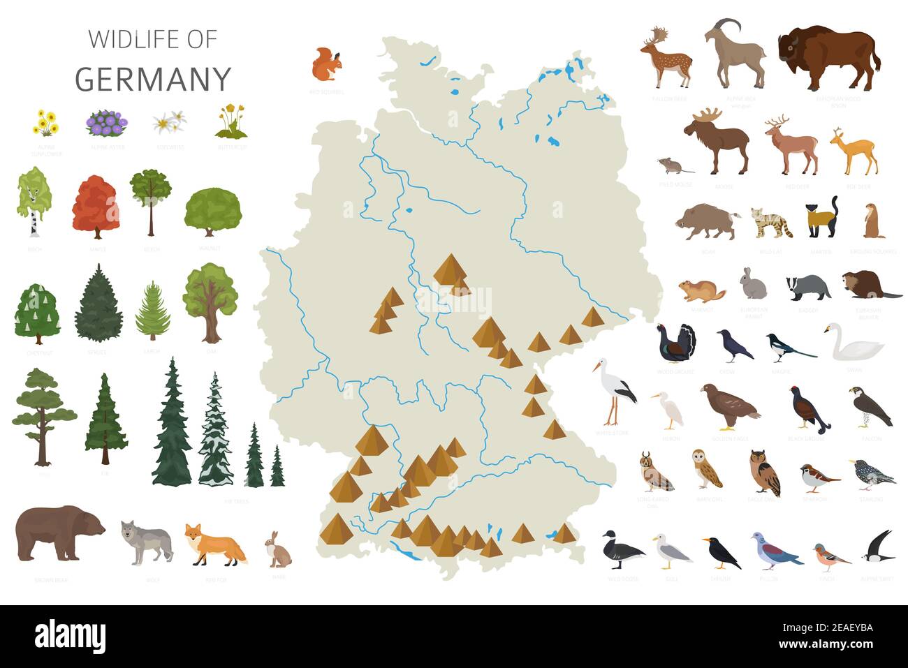 Design piatto della fauna selvatica tedesca. Elementi costruttivi di animali, uccelli e piante isolati su set bianco. Crea la tua collectio di infografiche geografiche Illustrazione Vettoriale