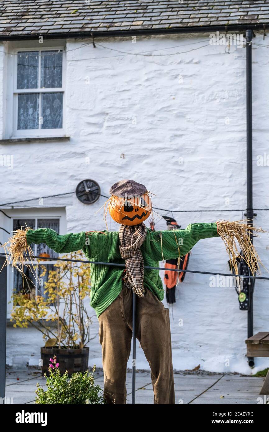 Uno spaventapasseri con una testa di zucca creata per le celebrazioni di Halloween all'esterno di un cottage tradizionale della Cornovaglia imbiancato a Newquay in Cornovaglia. Foto Stock