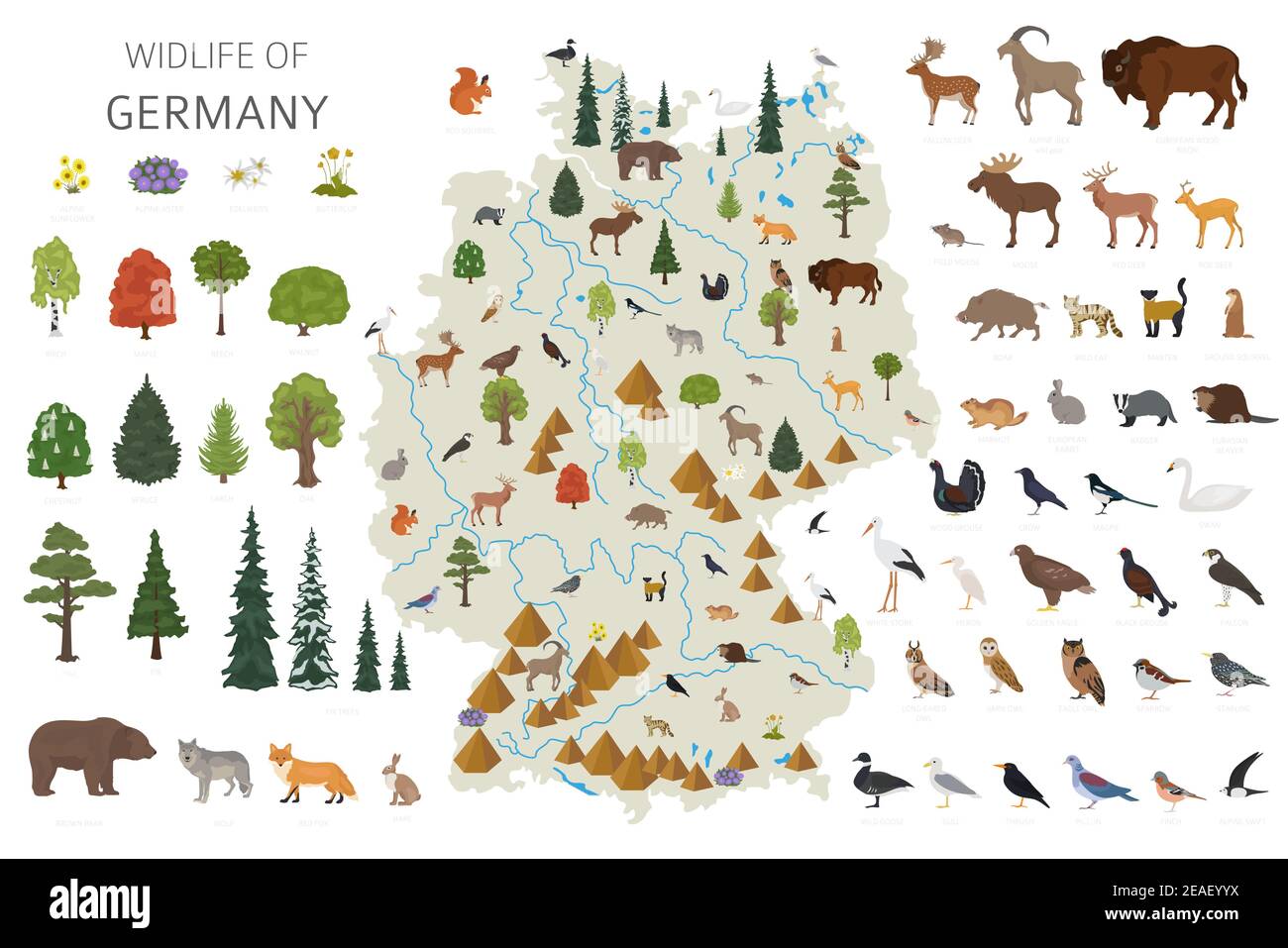 Design piatto della fauna selvatica tedesca. Elementi costruttivi di animali, uccelli e piante isolati su set bianco. Crea la tua collectio di infografiche geografiche Illustrazione Vettoriale
