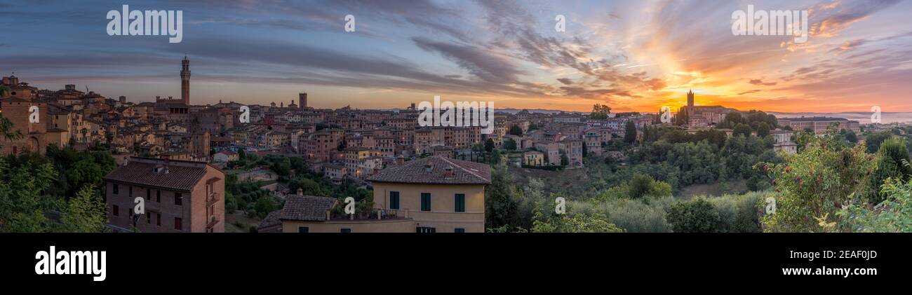 Panorama del centro storico di Siena all'alba, città medievale e rinascimentale in Toscana, Italia, con torre Mangia, chiesa, case antiche e palazzi Foto Stock