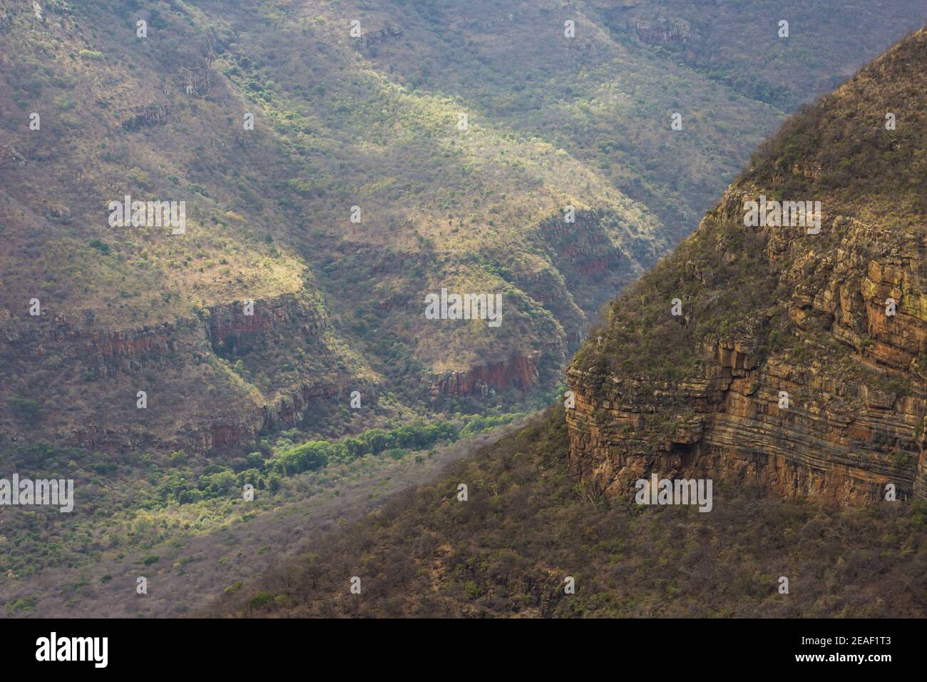 Luce del sole sulle pendici boscose di un fiume laterale che si unisce Il Blyde River Canyon in Sud Arica Foto Stock