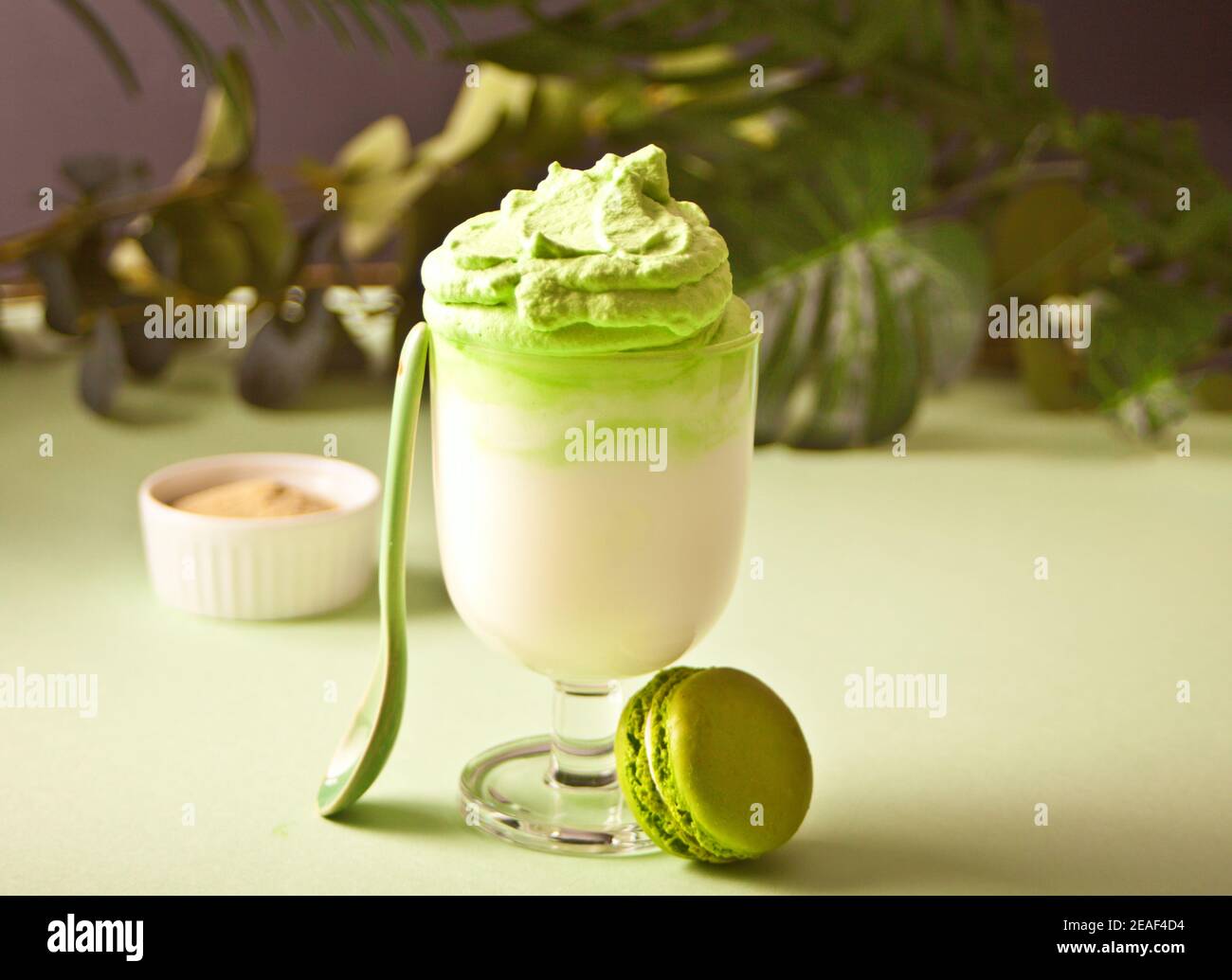 Dalgona Matcha latte, tè verde matcha con panna montata e pianta sullo sfondo. Foto Stock