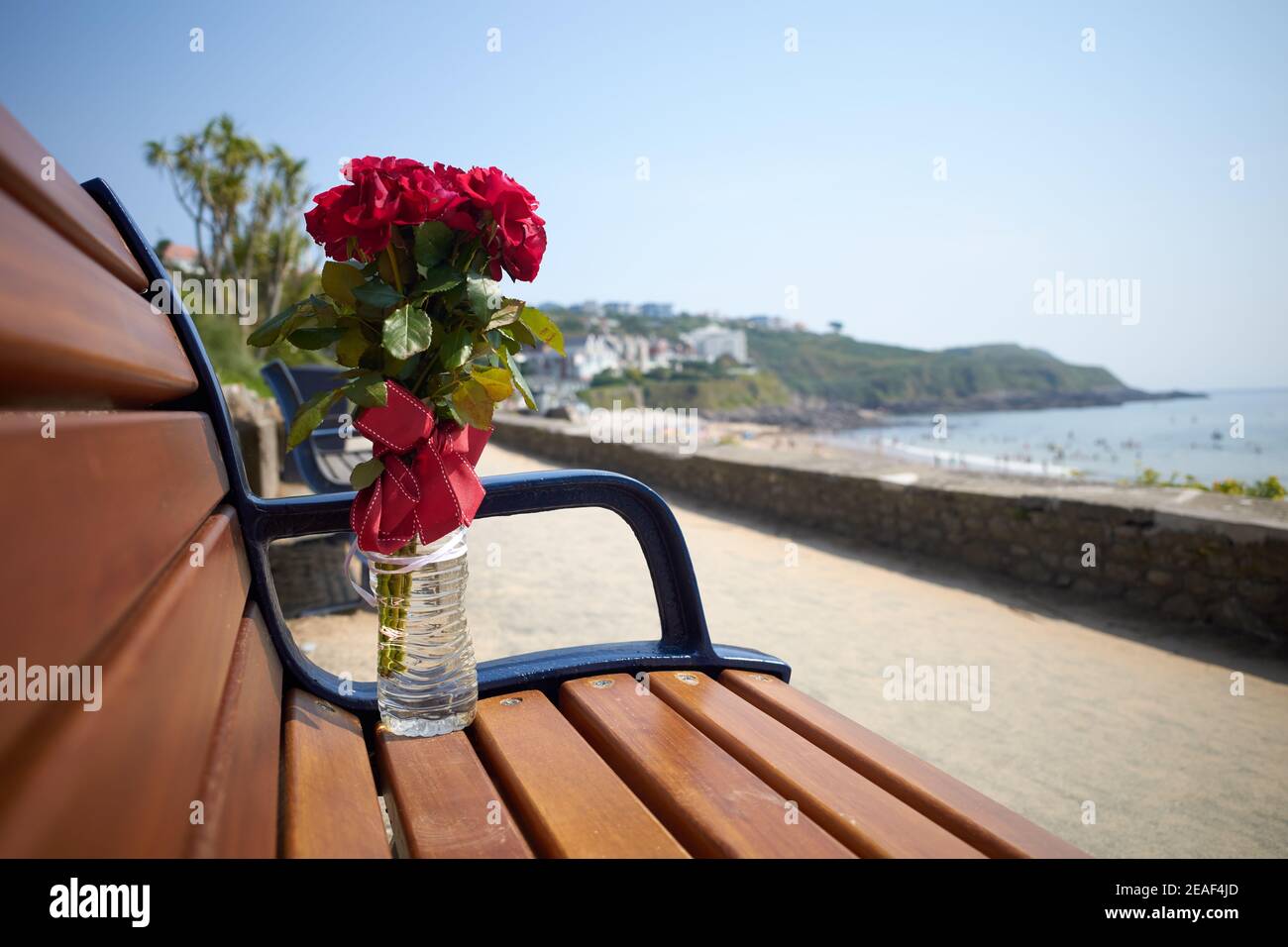 Fotografia di un monumento ai fiori sulla panchina pubblica di Langland Bay, Penisola di Gower, Galles. Foto Stock