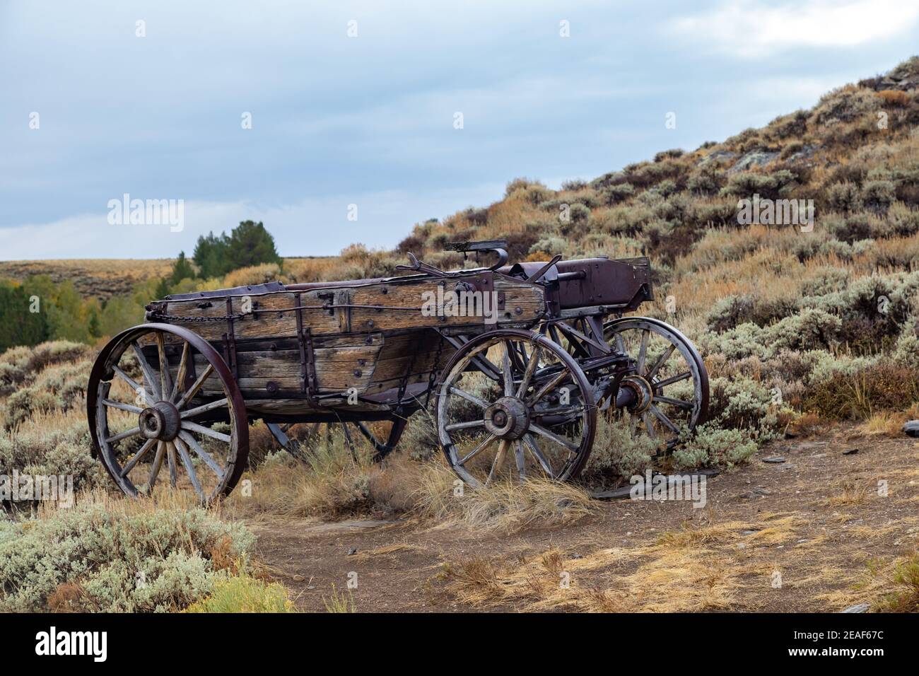 Un carro trainato da cavalli da tempi passati sulla prateria del Wyoming. Foto Stock