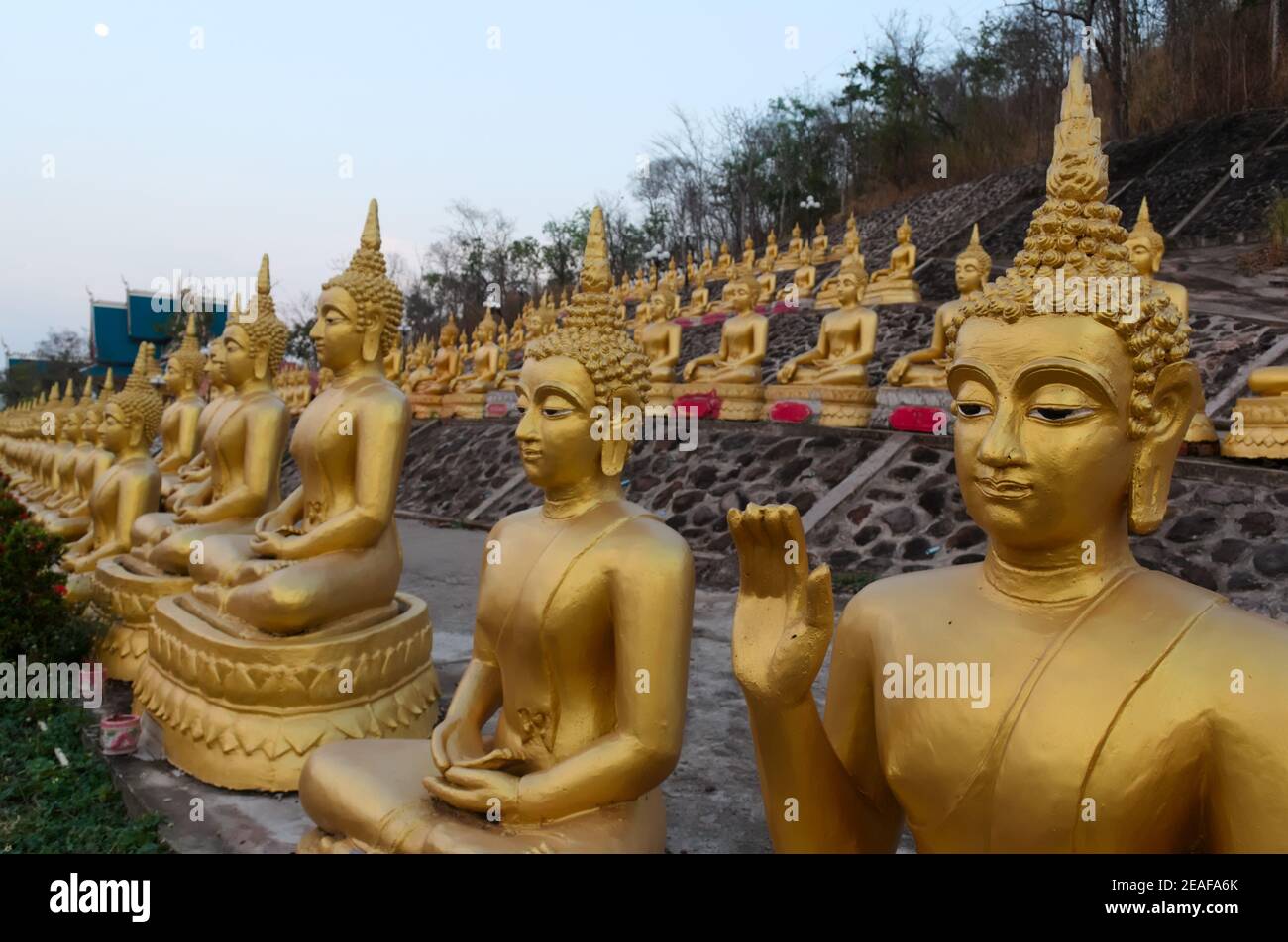 Molte statue di Buddha d'oro in fila all'aperto nel tempio sulla collina. Statue di Buddha a Wat Phu Salao sulla collina vicino a Pakse, Laos. Buddha sta Foto Stock