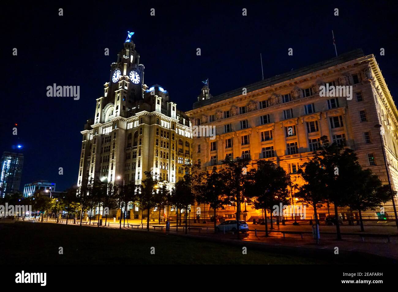 Il Royal Liver Building di notte, architettura illuminata di Liverpool, Inghilterra, Regno Unito Foto Stock