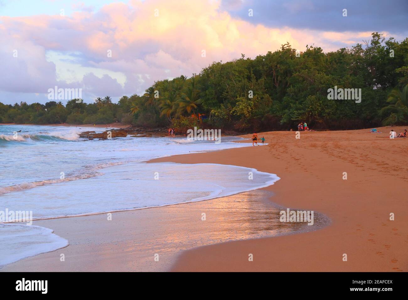 Spiaggia di sabbia di Guadalupa. Luce del tramonto. Paesaggio di vacanza caraibico. Spiaggia di Clugny (Plage de Clugny). Foto Stock