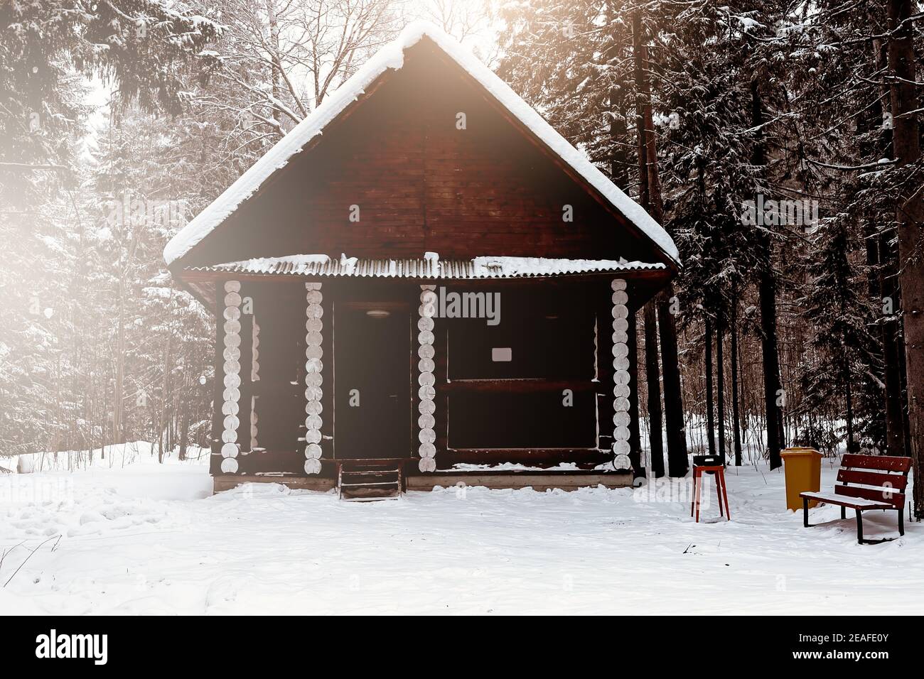 Casa di legno tra gli alberi nella foresta invernale. Cottage di tronchi. Alloggiamento realizzato in materiali da costruzione naturali. Struttura ecocompatibile. Foto Stock