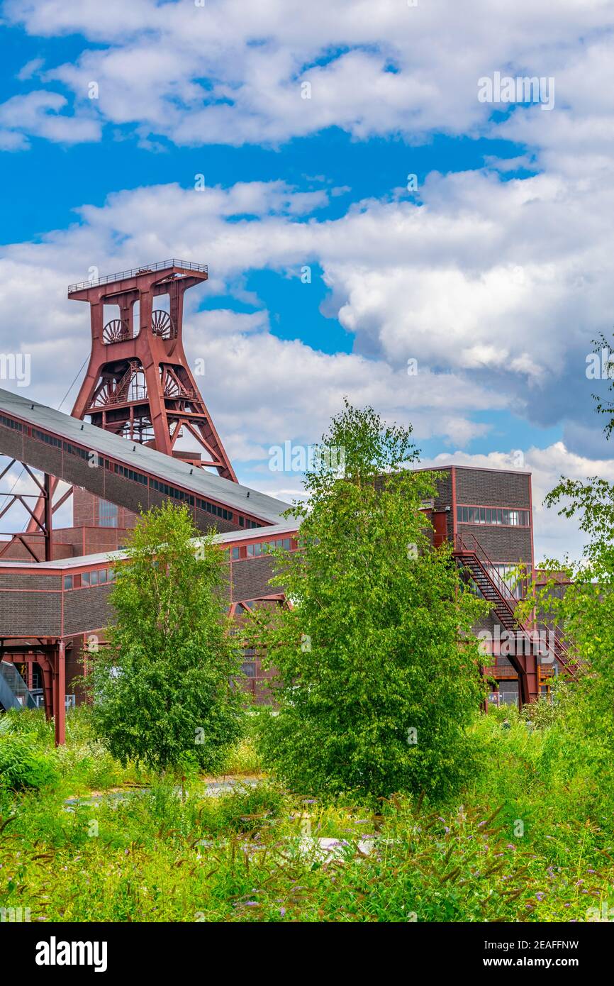 Il complesso industriale Zollverein ospita un museo regionale nella ex laveria a carbone, Essen, Germania Foto Stock