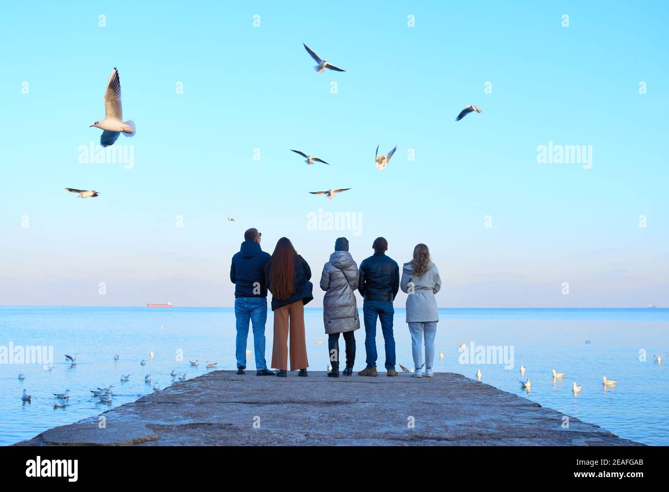 Gruppo di amici che alimentano gabbiani sulla spiaggia Foto Stock