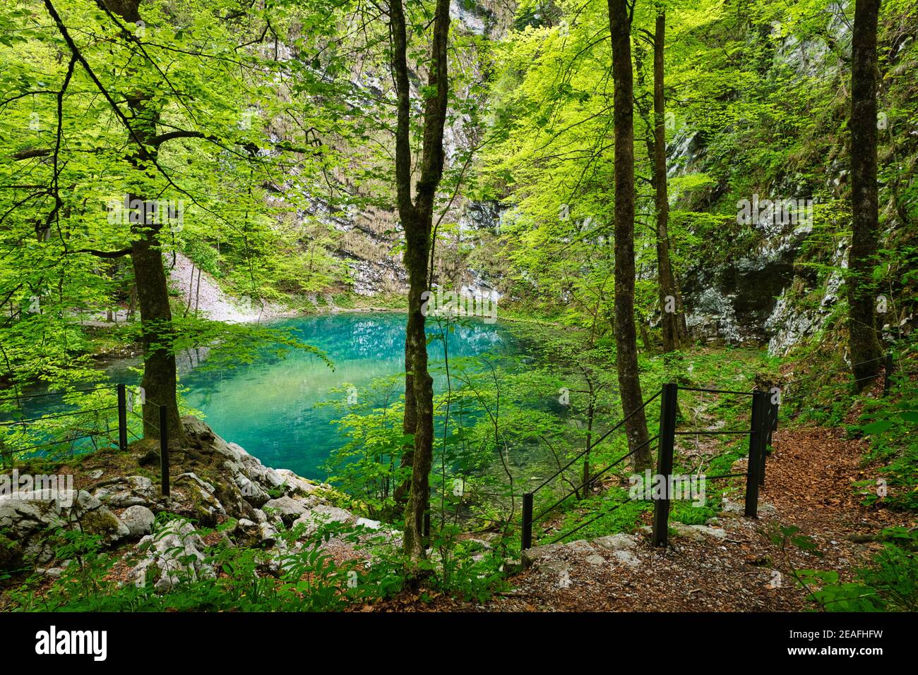 Divje Jezero vicino Idrija, Lago selvaggio, Slovenia Foto Stock