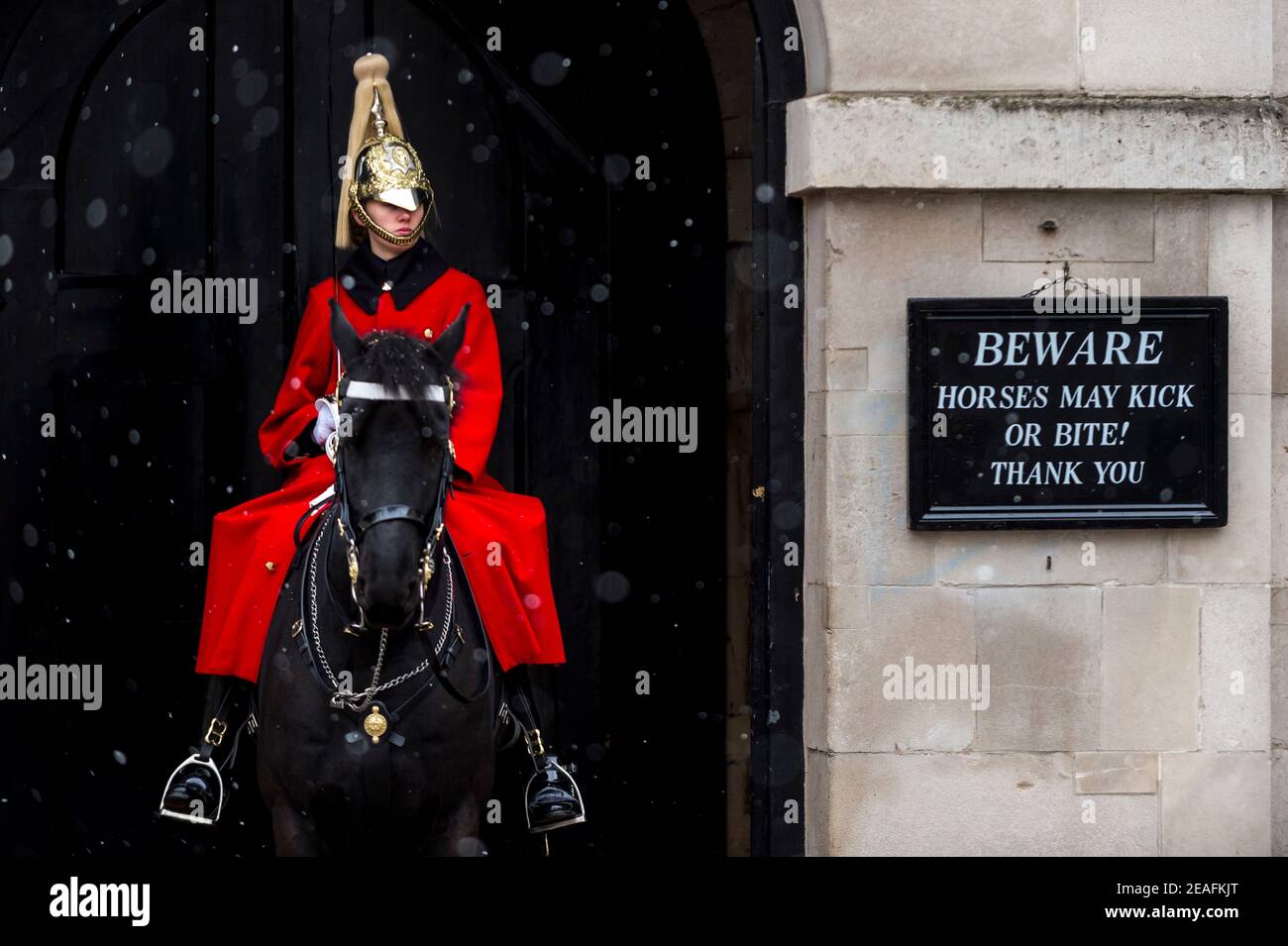 Londra, Regno Unito. 9 febbraio 2021. Regno Unito Meteo: Un membro della Queen's Life Guard in servizio al di fuori della Horse Guards Parade durante le leggere nevicate come il freddo tempo portato da Storm Darcy continua. Credit: Stephen Chung / Alamy Live News Foto Stock