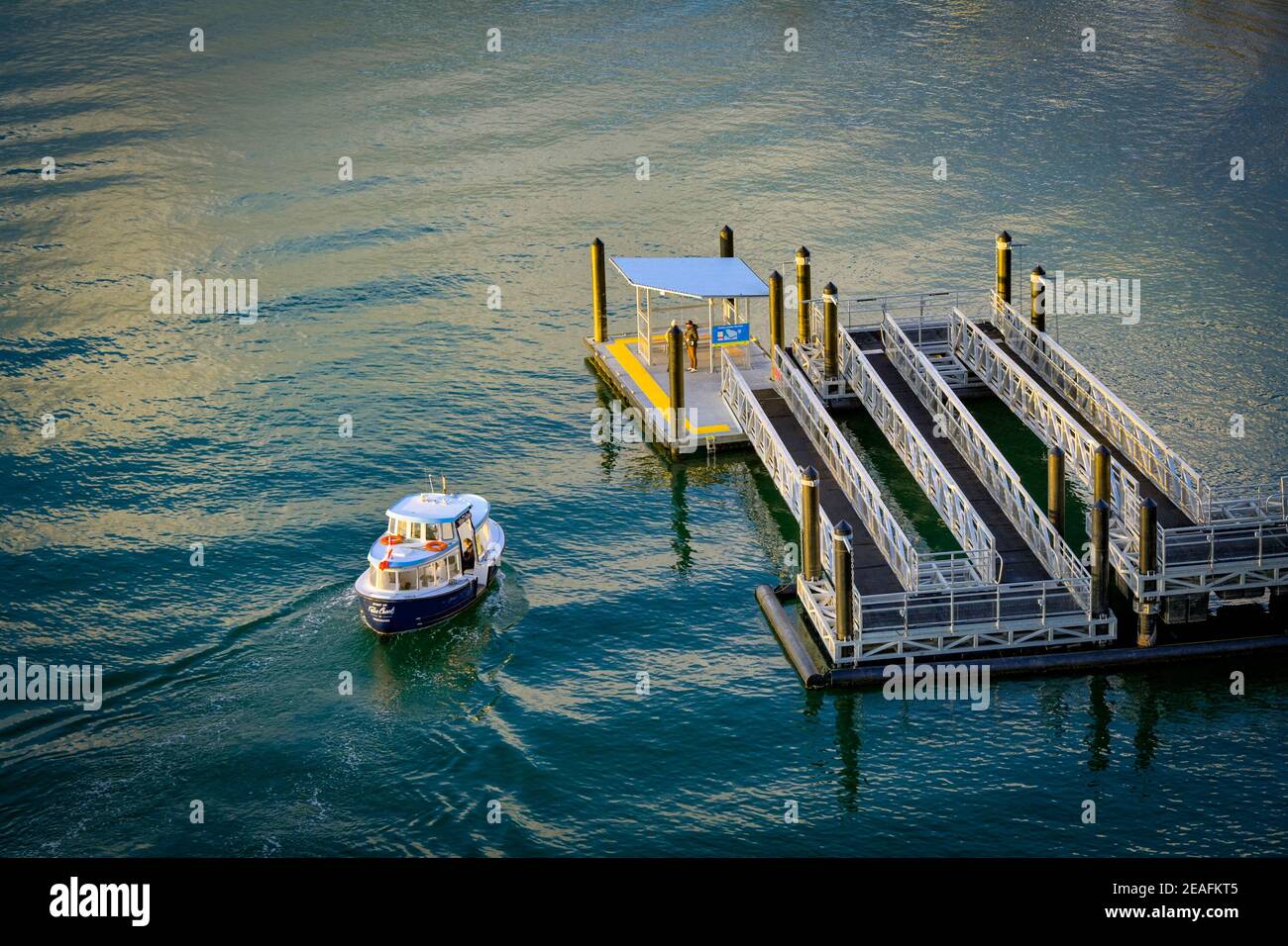 Traghetto passeggeri di False Creek, attracco, Vancouver, British Columbia, Canada Foto Stock