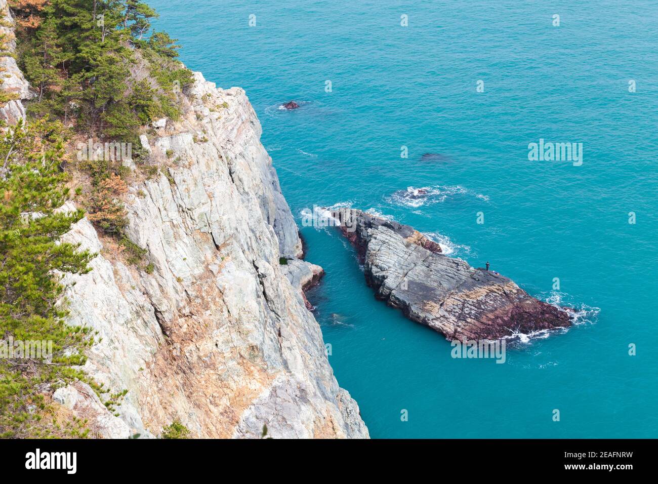 Paesaggio costiero con alberi di pino su pendii rocciosi vicino a piccolo isolotto. Busan, Corea del Sud Foto Stock