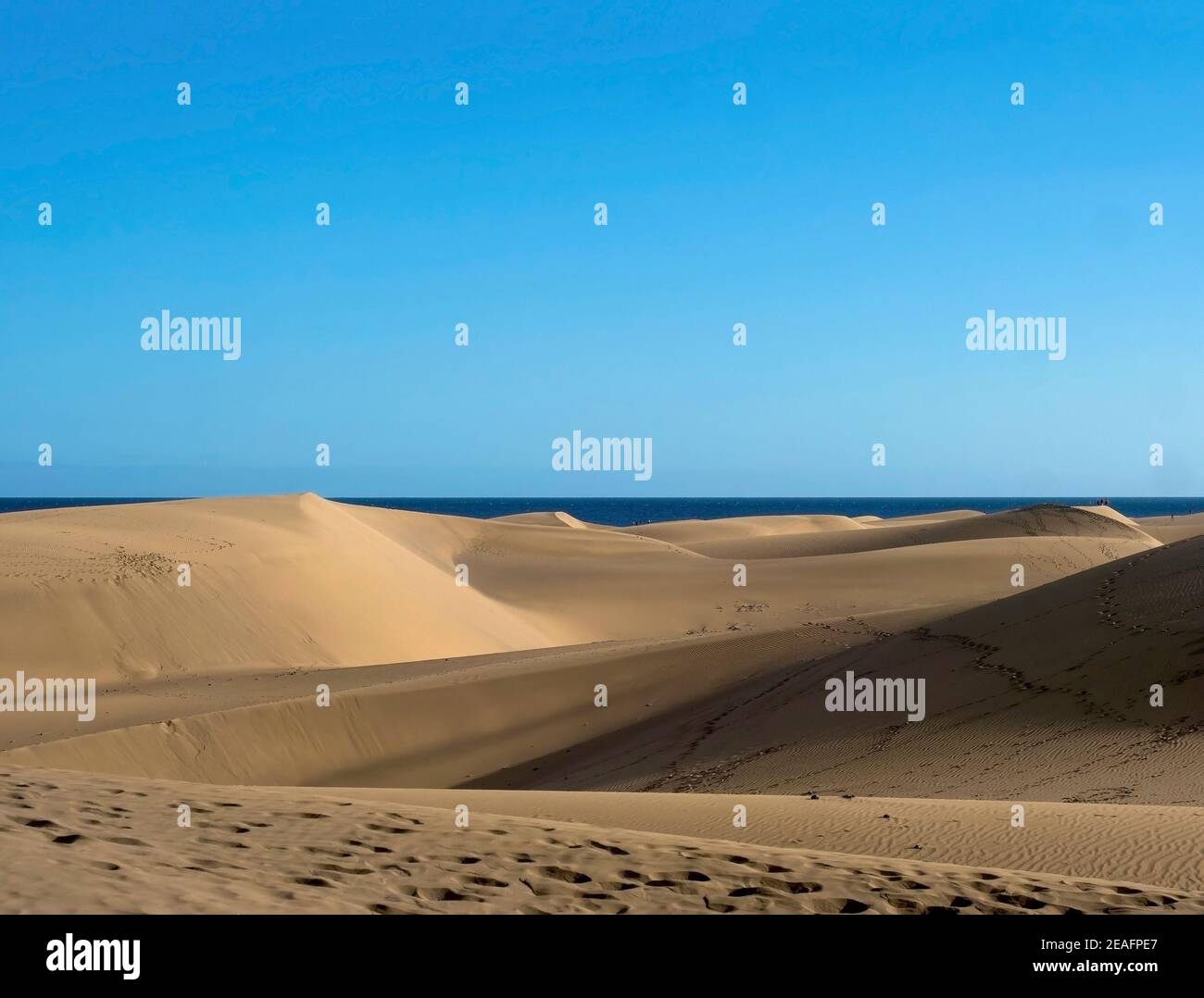 Vista della Riserva Naturale delle Dune di Maspalomas, dune di sabbia dorata, cielo blu. Gran Canaria, Isole Canarie, Spagna Foto Stock
