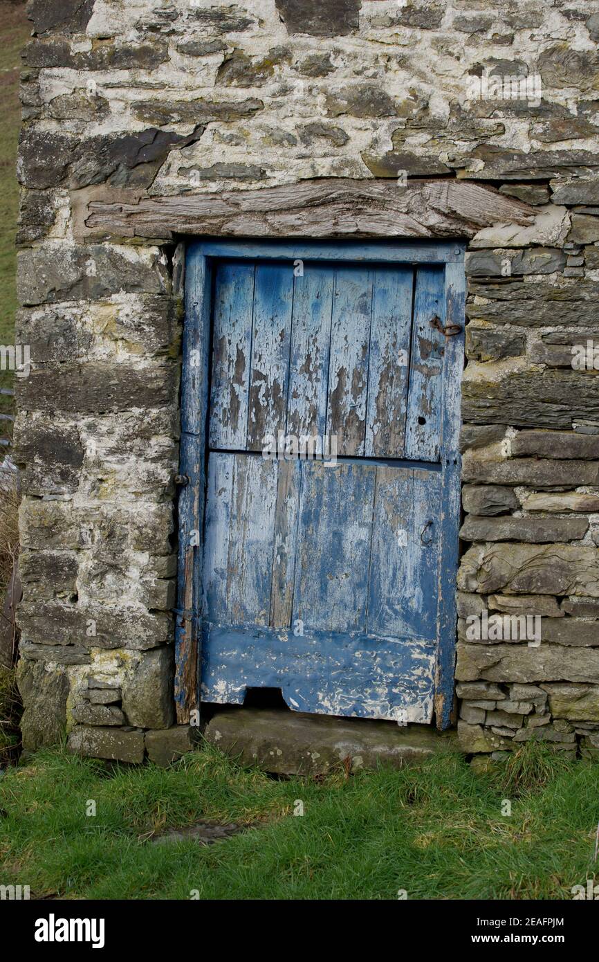 Porta di una vecchia casa colonica su un sentiero natura in un foresta vicino al villaggio di Talybont Ystwyth in Ceredigion, Galles, Regno Unito Foto Stock