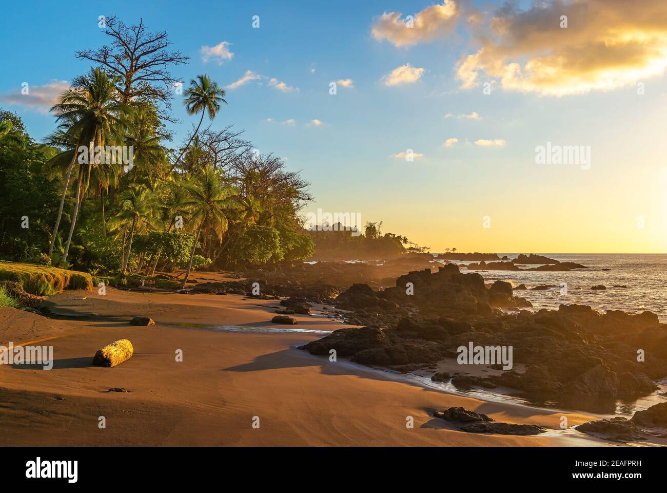 Tramonto sulla spiaggia dell'Oceano Pacifico, parco nazionale di Corcovado, Penisola di Osa, Costa Rica. Foto Stock