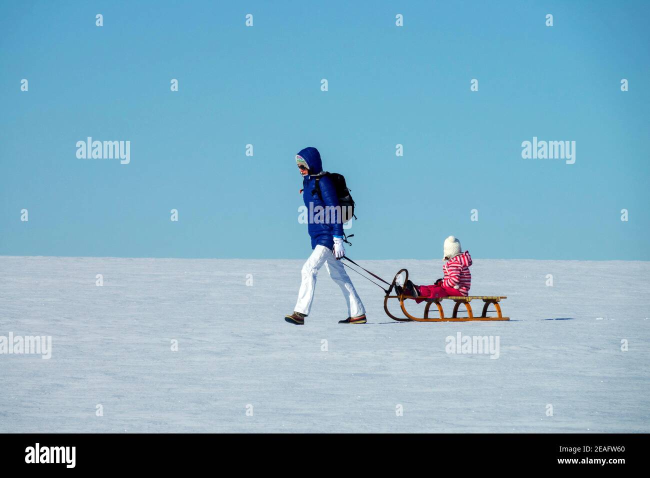 Donna che tira la slitta nella pianura di campagna ricoperta di neve, bambina all'aperto donna che cammina in campagna in inverno Foto Stock