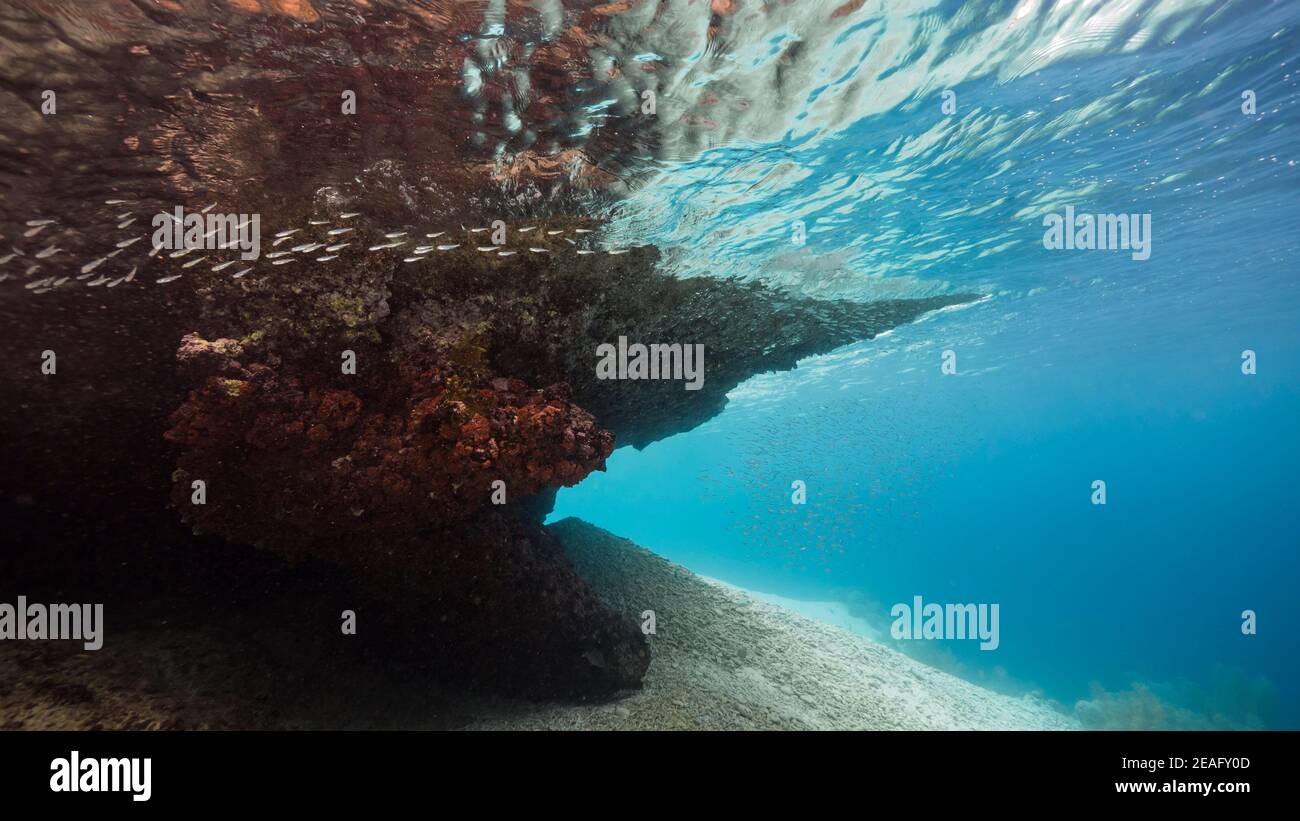 Stagcape in acque poco profonde della barriera corallina nel Mar dei Caraibi, Curacao con corallo morbido, pesce, spugna e vista sulla superficie Foto Stock