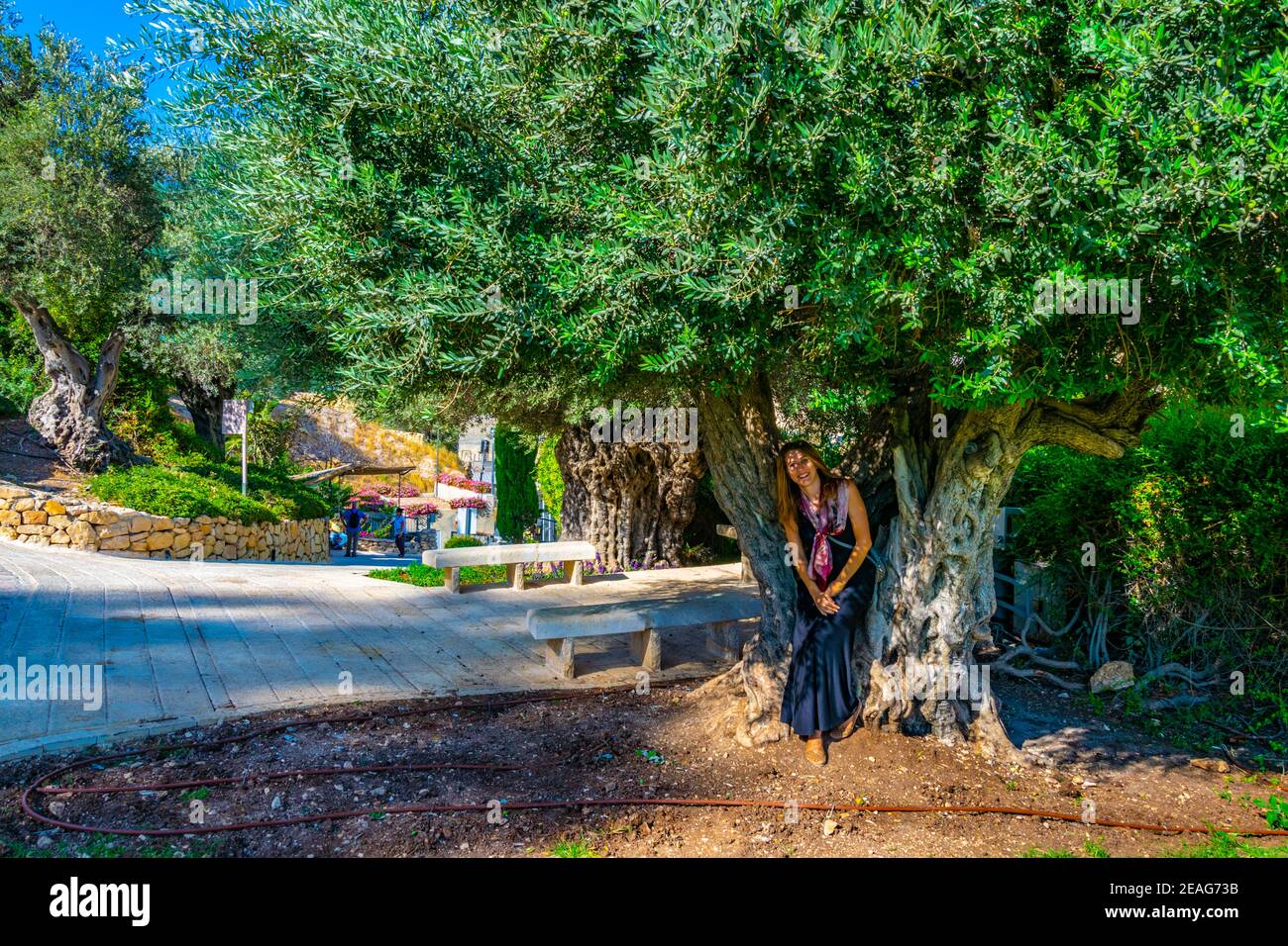 Rovine della città di Davide a Gerusalemme, Israele Foto Stock