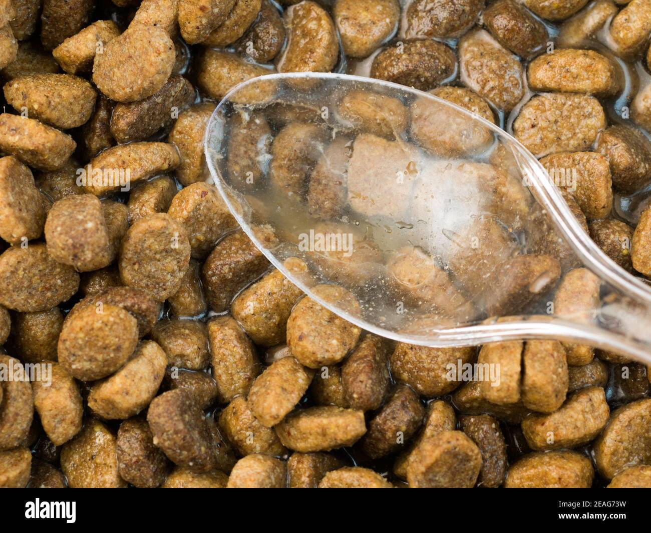 Vista dall'alto ravvicinata del cibo secco per cani con acqua e un cucchiaio sulla parte superiore. Foto Stock