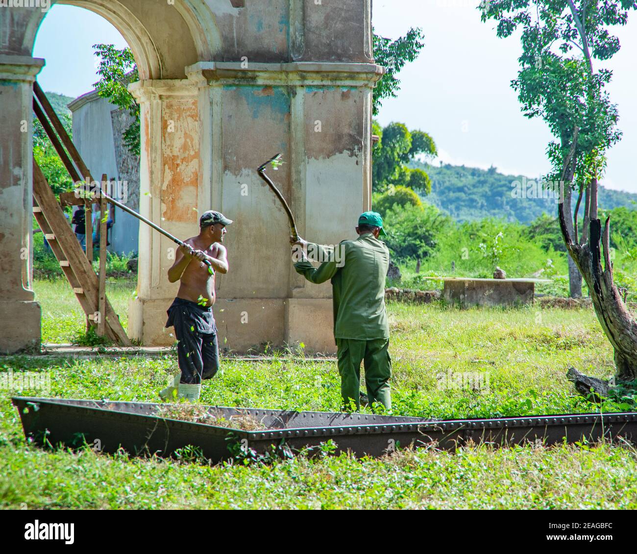 Due uomini che usano gli scythes per tagliare il campo sulla piantagione di Manaca Iznaga nella Valle dei mulini di canna da zucchero vicino a Trinidad, Cuba Foto Stock