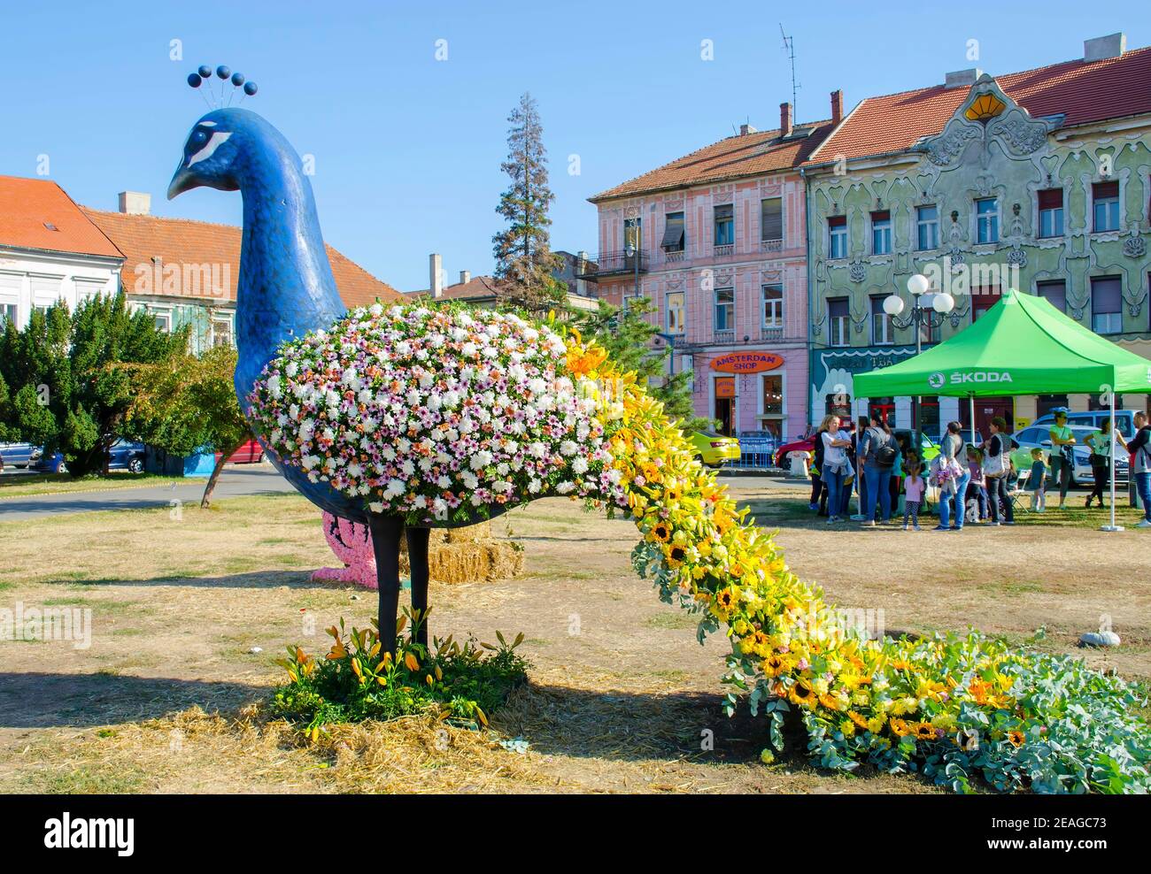 Arad, Romania-06.10.2018: Sorprendente pavone fatto di fiori misti in fiore, al festival dei fiori di strada Foto Stock