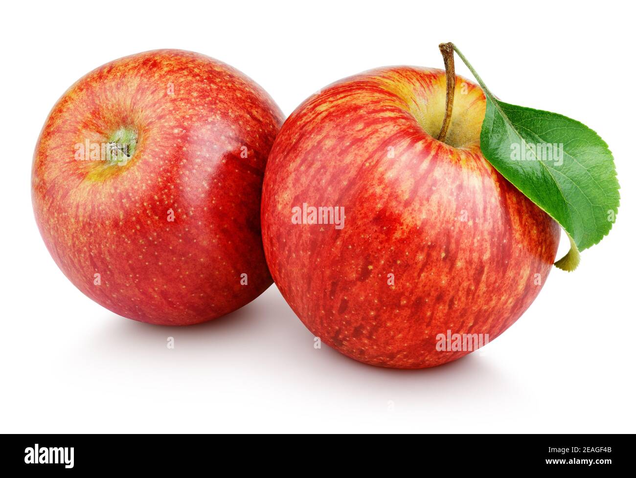 Due frutti di mela rossi maturi con foglia verde isolata su sfondo bianco. Mele rosse con percorso di ritaglio Foto Stock