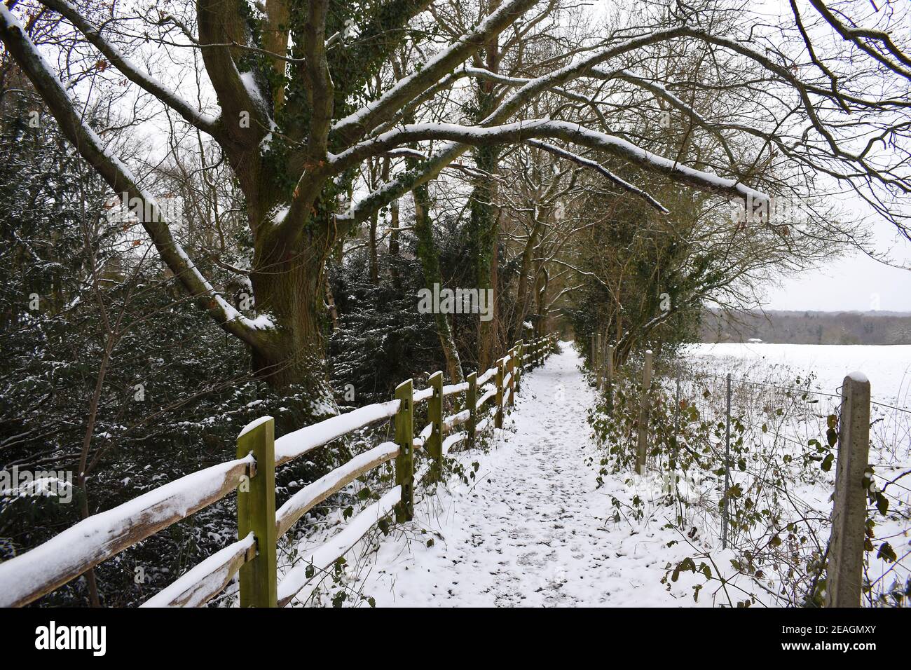 Vista che guarda giù un sentiero della neve coperta Worth Way vicino al villaggio di Crawley giù in West Sussex, Inghilterra, Regno Unito. Sentieri innevati coprono il percorso. Foto Stock