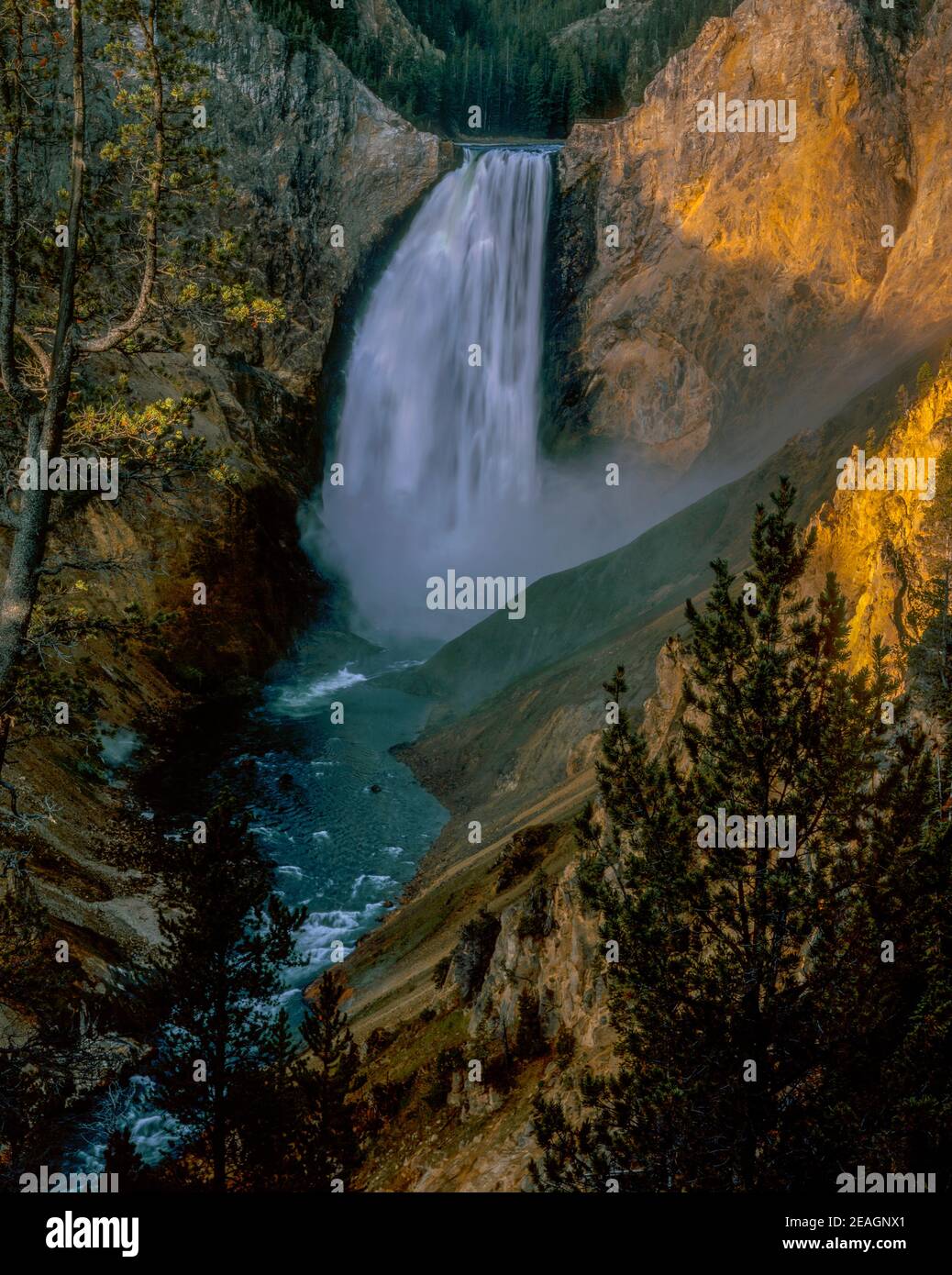 Cascate di Yellowstone, il Parco Nazionale di Yellowstone, Wyoming Foto Stock