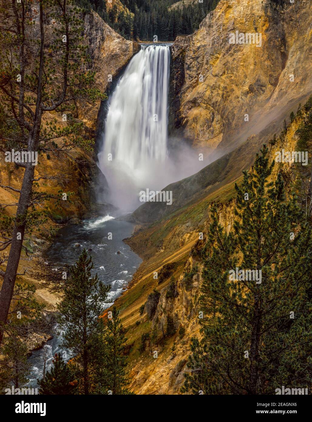 Cascate di Yellowstone, il Parco Nazionale di Yellowstone, Wyoming Foto Stock