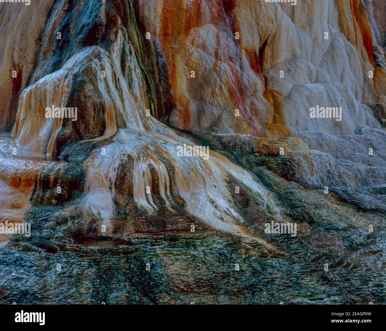 Molla di Orange Mound, Mammoth Hot Springs, il Parco Nazionale di Yellowstone, Wyoming Foto Stock