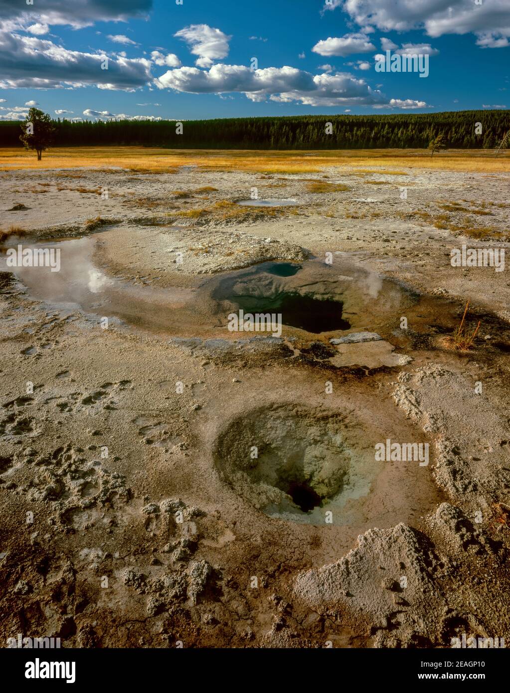 Queen's lavanderia, Midway Geyser Basin, Yellowstone National Park, Wyoming Foto Stock