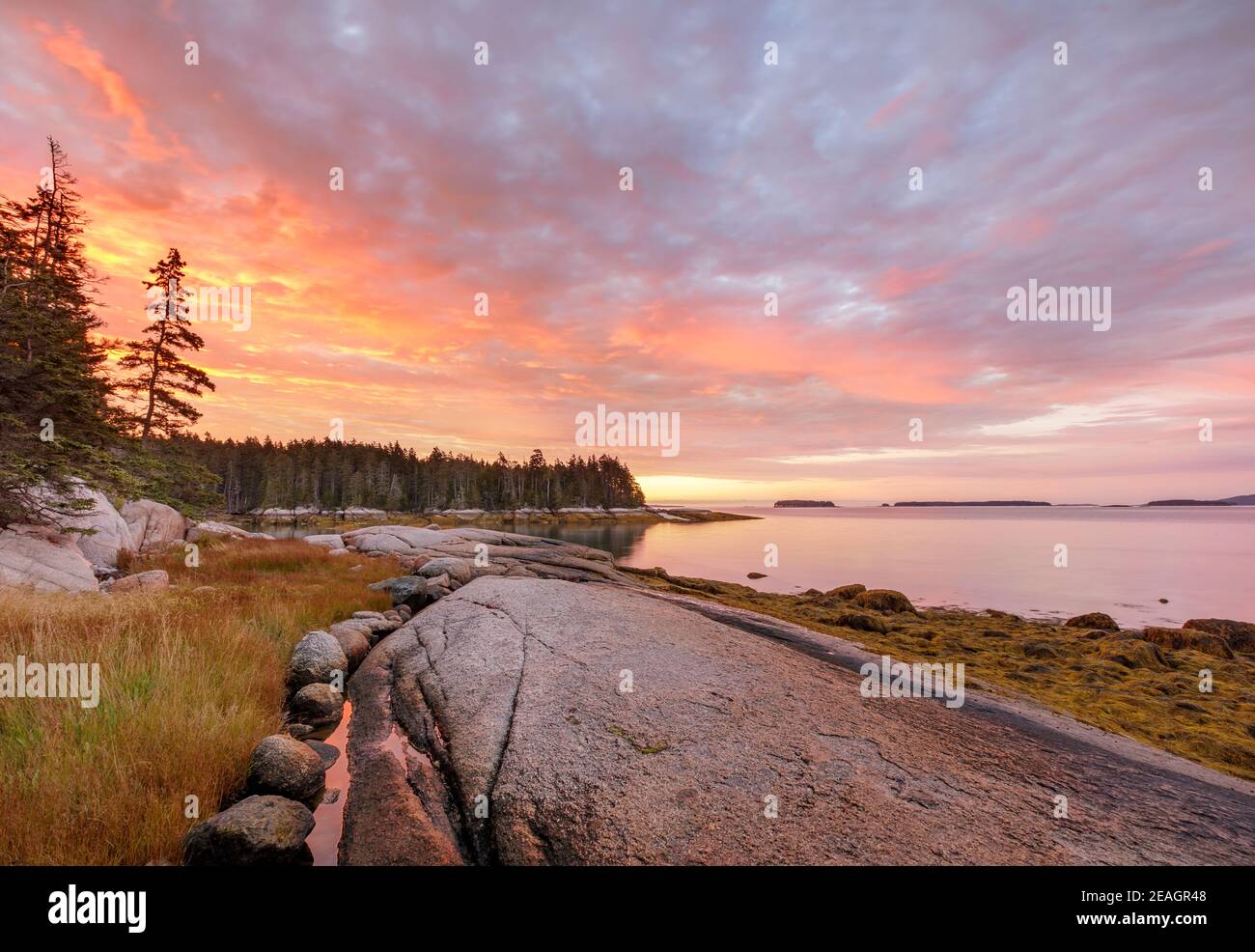Deer Isle, Maine: Alba colorata sulla costa della baia di Jericho Foto Stock