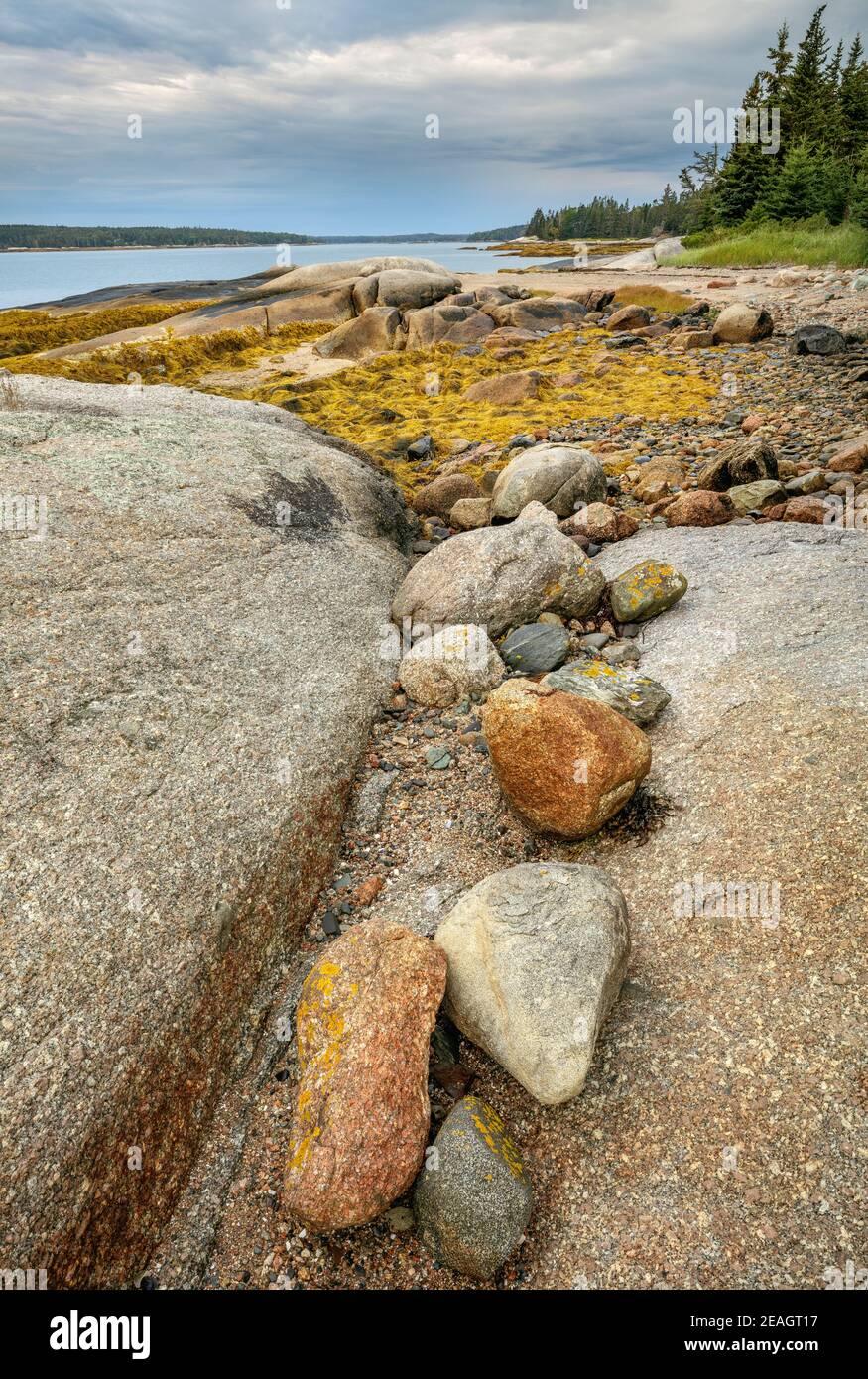 Deer Isle, Maine: Rocce colorate sulla costa della baia di Jericho Foto Stock