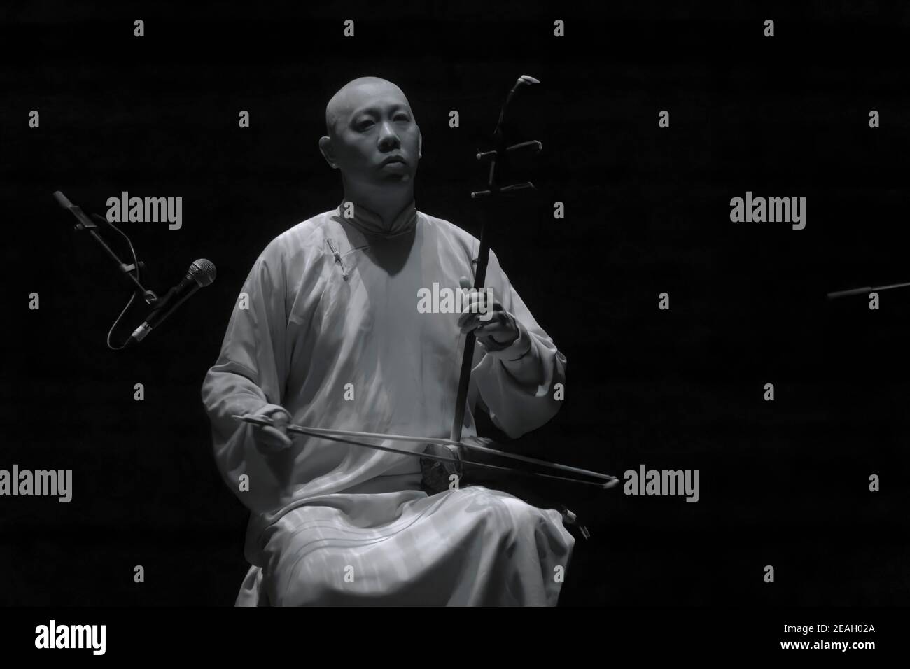 Parigi, Francia.27th Feb, 2020. Duplessy e i violini del mondo si esibiscono in concerto a Parigi, in Francia. Foto Stock