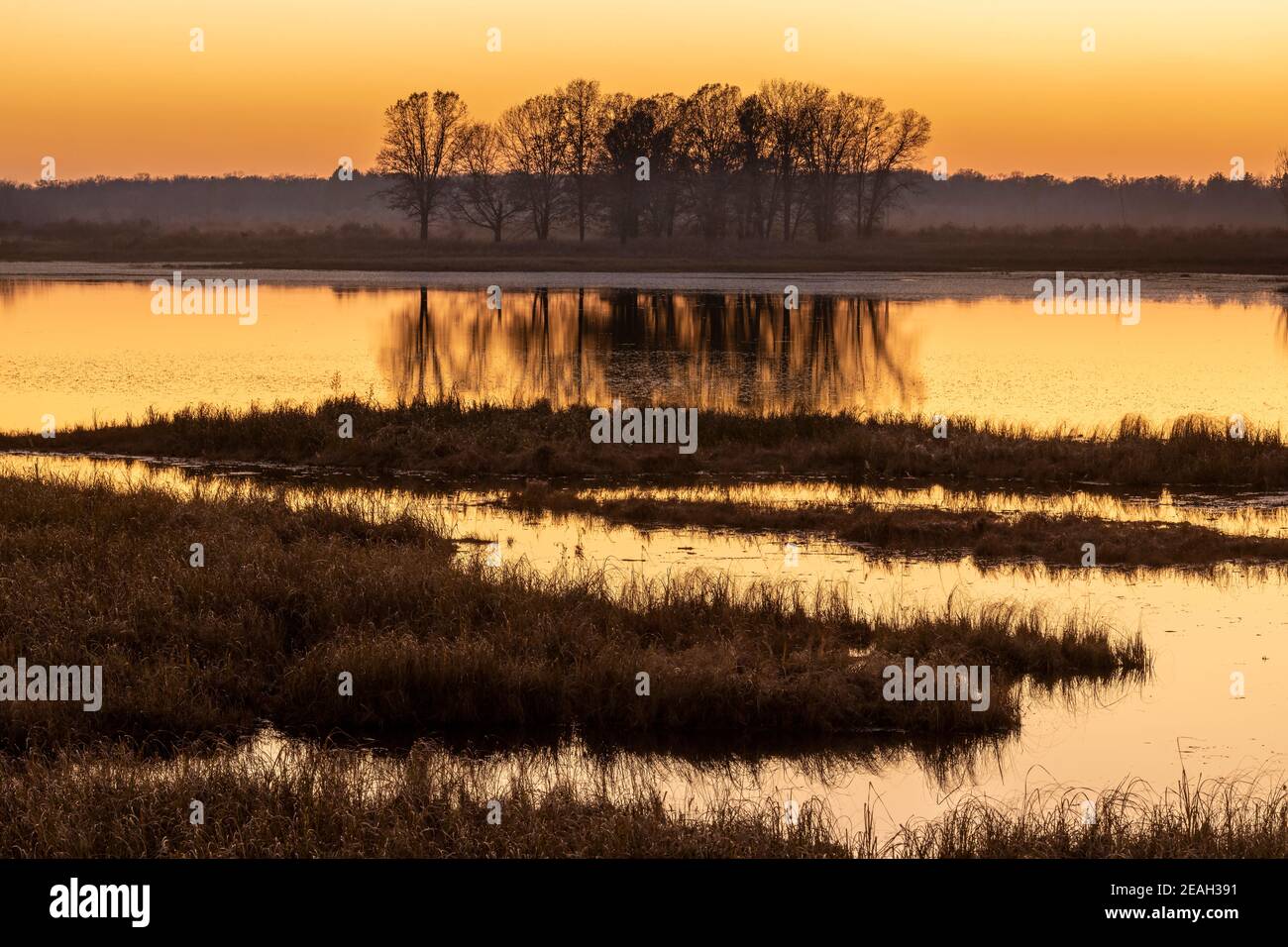 Tramonto sul lago, zona umida, fine autunno, e USA, di Dominique Braud/Dembinsky Photo Assoc Foto Stock